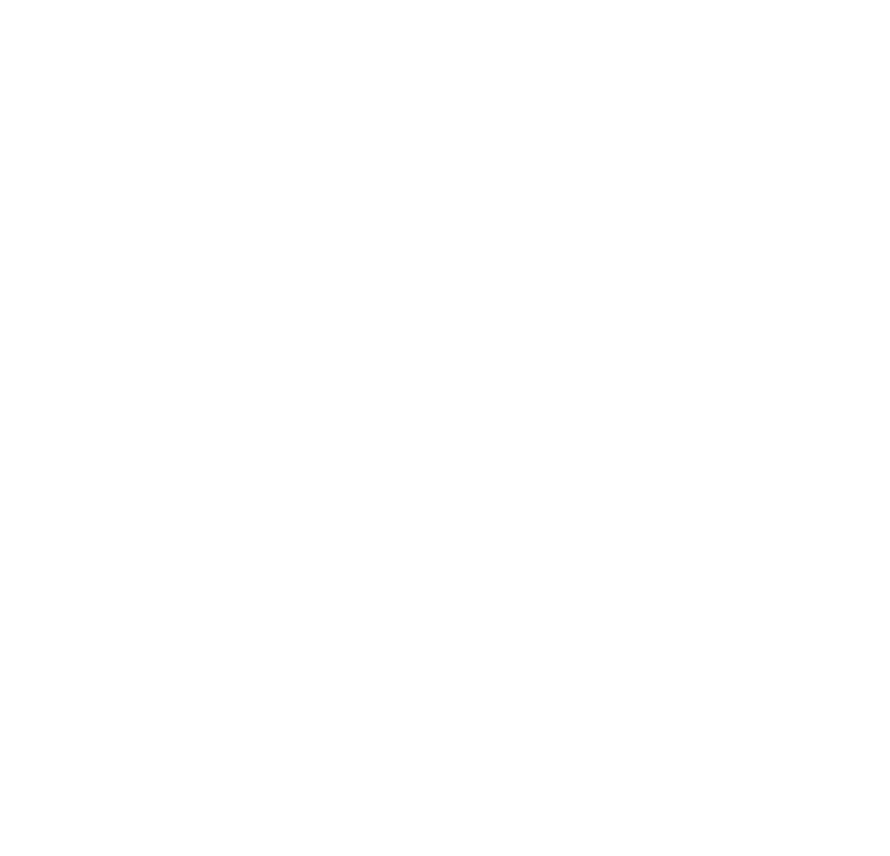 touregya image